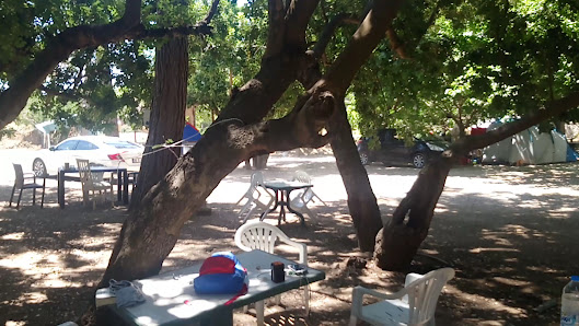 Lightning camp Yerel İşletme fotoğrafı 4